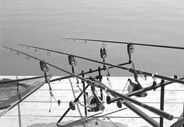 Moara Vlasiei 2 22 - 23 mar.